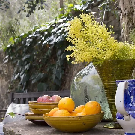 Cas Correig Holiday home